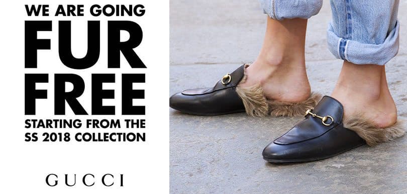 響應關注動物權益！Gucci、Calvin Klein、Giorgio Armani及Ralph Lauren停產皮草商品