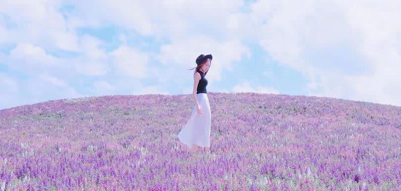 與花海合照小秘訣公開！台北粉紫色花海秘景在這裡