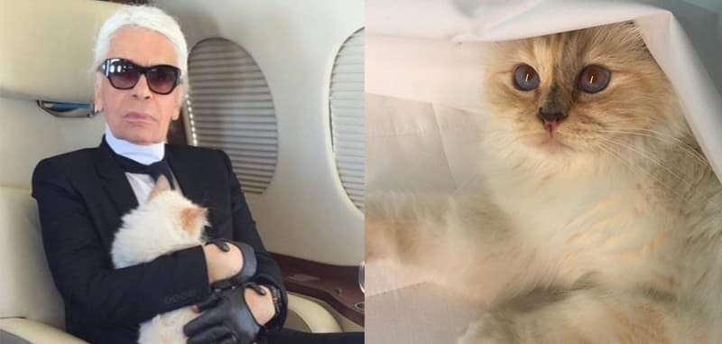Karl Lagerfeld 一生最愛Choupette
