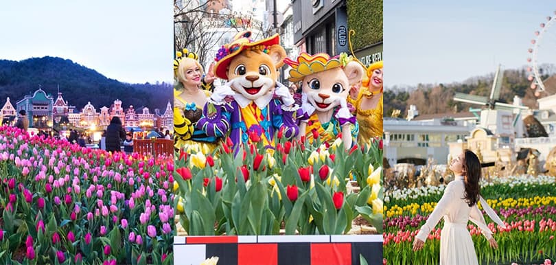 韓國愛寶樂園Everland，4月鬱金香季限時綻放