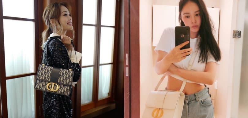易襯易用DIOR 30 MONTAIGNE BAG