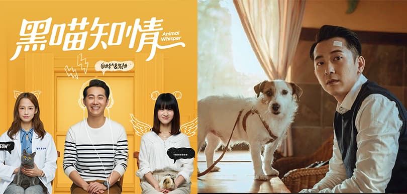 溫暖人心的療癒小品 台灣首部寵物溝通師劇集《黑喵知情》