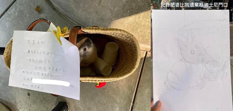網民怒罵港女為去迪士尼遺留兔兔於園外 被揭胡亂養兔餵飼人類食品