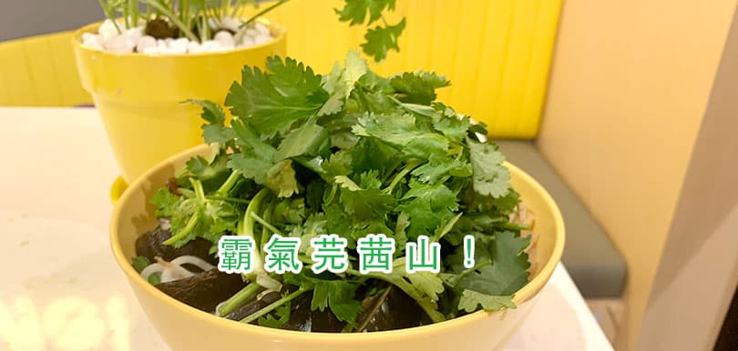 譚仔「美」線新搞作：全新香茜皮蛋魚湯芫茜主題特飲美食