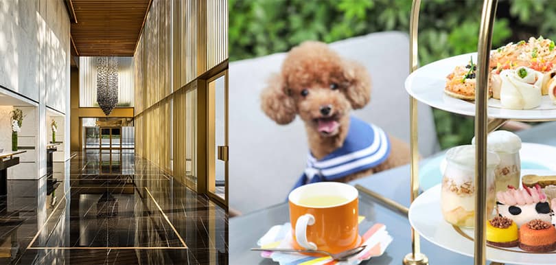【KKday獨家33折】香港美利酒店超抵住宿套票！每晚HK$2,640起，包3餐＋免費升級＋送生日蛋糕