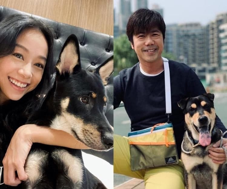約滿TVB回復自由身 33歲黃心穎認戀泥鯭甜蜜放狗走出低谷「翻版林海峰」泥鯭愛得堅持！ 
