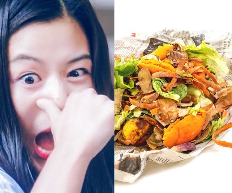 綠色生活｜自己廚餘自己處理 解決廚餘臭味3大秘技 1個神器處理廚餘最乾淨又環保！