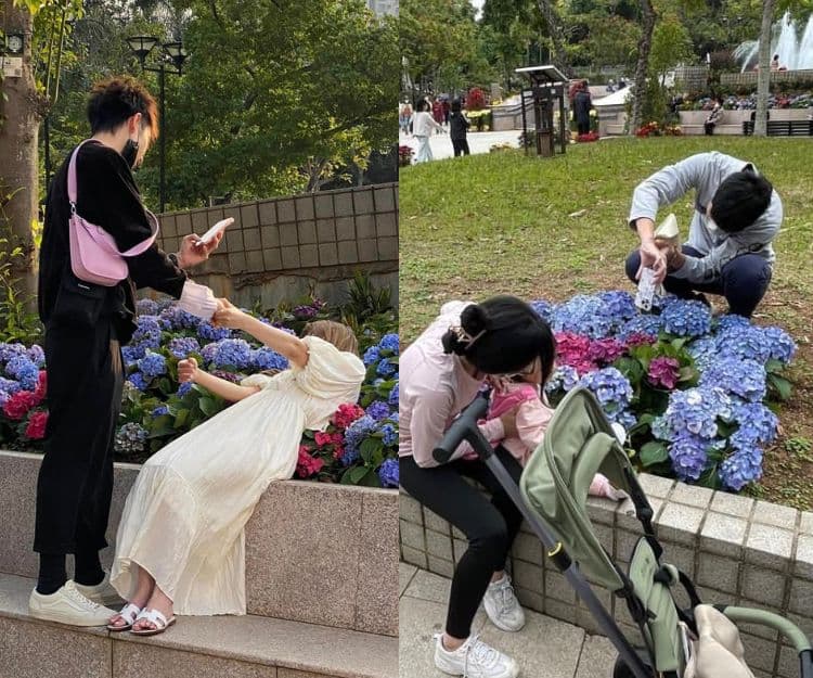 網絡熱話｜天水圍賞花情侶高難度「瞓身」打卡 惹怒網民！附拍攝繡球花美照tips