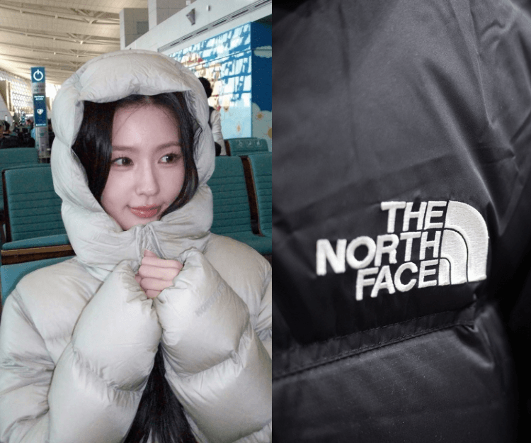 韓國The North Face被揭13款羽絨外套造假！鵝絨變鴨絨？教你2招一眼識破「假羽絨」！ 精明選購羽絨外套5大方法