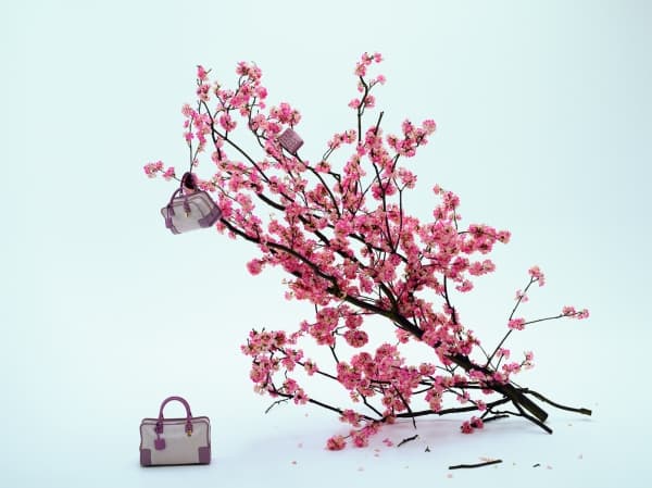 LOEWE 花見美學