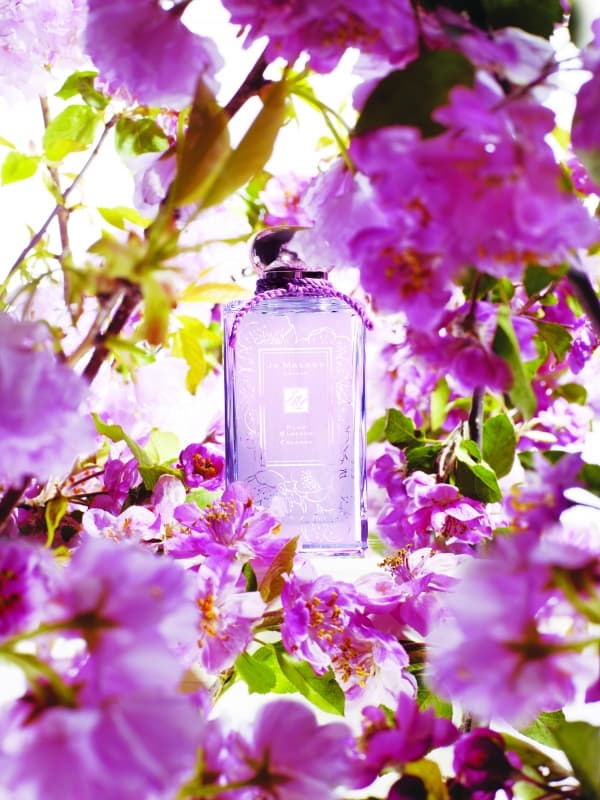 Jo Malone 梅花春日