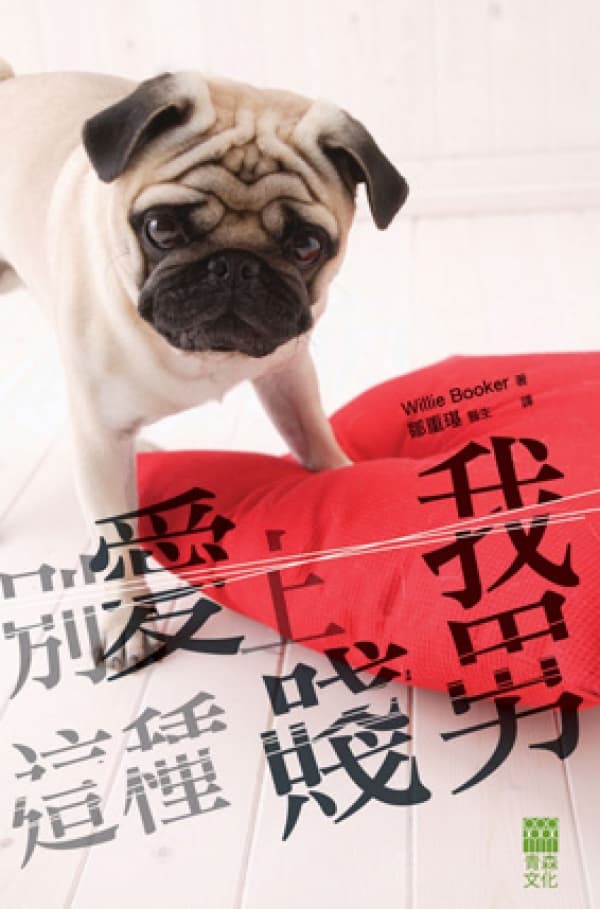 別愛上我這種賤男