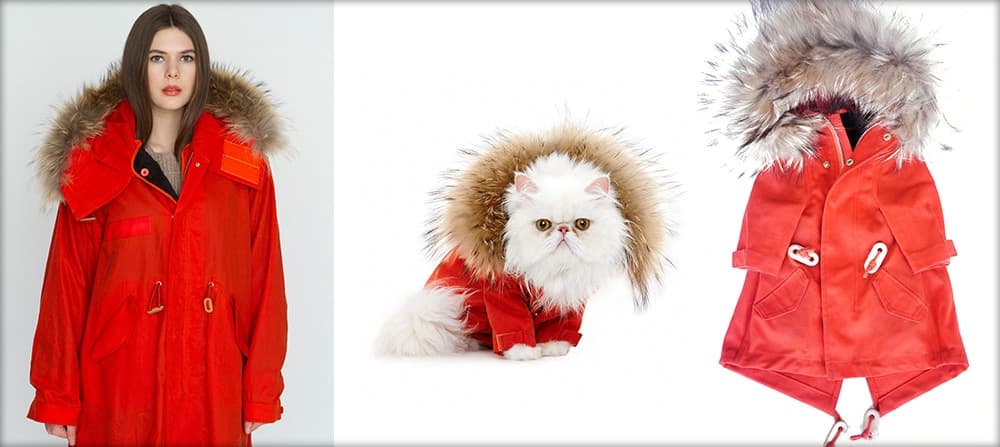 cat couture 同一個貓樣