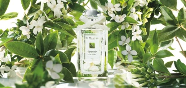 Jo Malone 春日限定桂花香