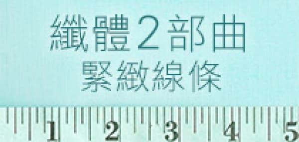 纖體2 部曲 緊緻線條