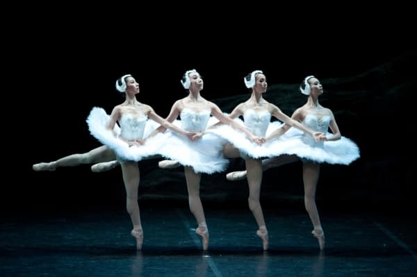 天鵝湖（Swan Lake）