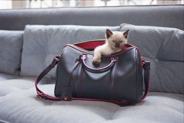 LV X Sophia Coppola 巴黎特別版「SC Bag」