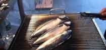 價廉物美的烤魚店"大眾食堂"대중식당