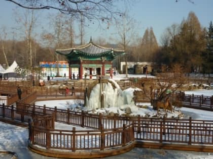冬季下的首爾免費動物園