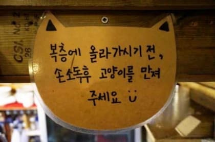弘大貓咪複層Cafe
