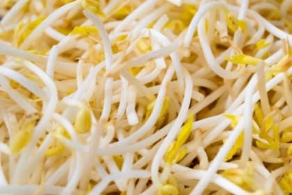 6 種有毒蔬菜孕婦要注意