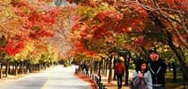 6大韓楓婚攝勝地（上）