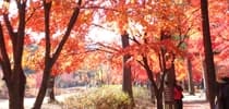 6大韓楓婚攝勝地（下）