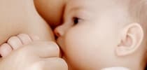 90分鐘製造乳汁