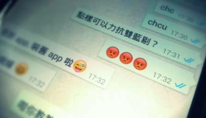 雙灰剔