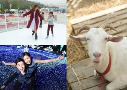 入大棠！過新年