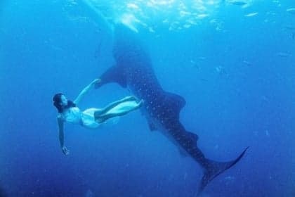 極限婚照 搵鯊魚做背景！