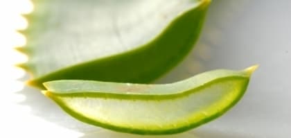 為肌膚退燒　韓式消暑護法大勢登場