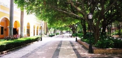 撐本地 搵創意！</br>週末遊走創意市集
