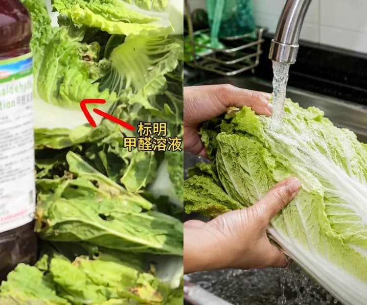 內地「甲醛白菜」引食安恐慌!一級致癌物竟被當保鮮劑 甲醛可以洗走嗎?4招辨別可疑毒菜+4類食材同樣要留神!