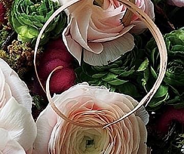 【教你D.I.Y.聖誕花環】 獨家分享Solomon花藝教學短片!