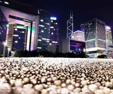 2月擁抱花海 <br> 這樣做慈善 夠晒浪漫!