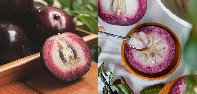 紫鑽牛奶果一個索價$50 ！口感特別、營養價值高︱最新人氣熱帶水果