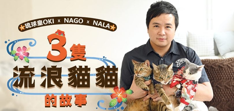 琉球皇OKI x Nago x Nala 三隻流浪貓貓的故事