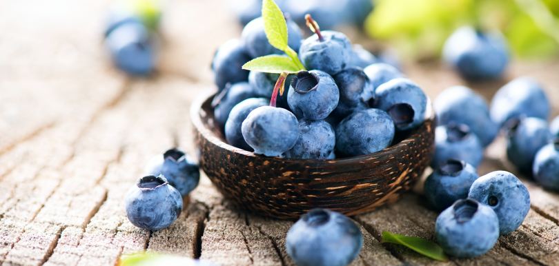 【醫生專欄】你可能不知的藍莓神奇功效