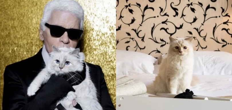 Karl Lagerfeld愛貓Choupette接代言工作了