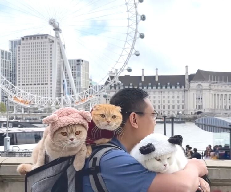 帶著貓貓去旅行｜律師與妻子停工2年與貓貓環遊世界走訪10個國家
